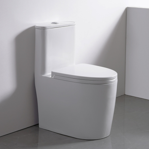 Bệt vệ sinh liền khối W006